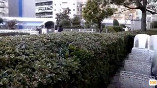 中文字幕精美一区㊙️➕大学生电梯偶遇少妇
